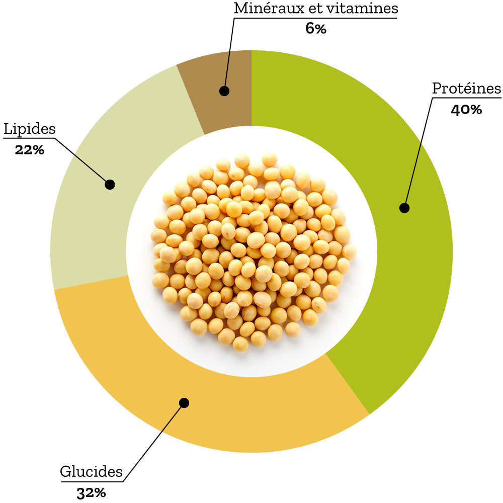 Graines de Soja BIO